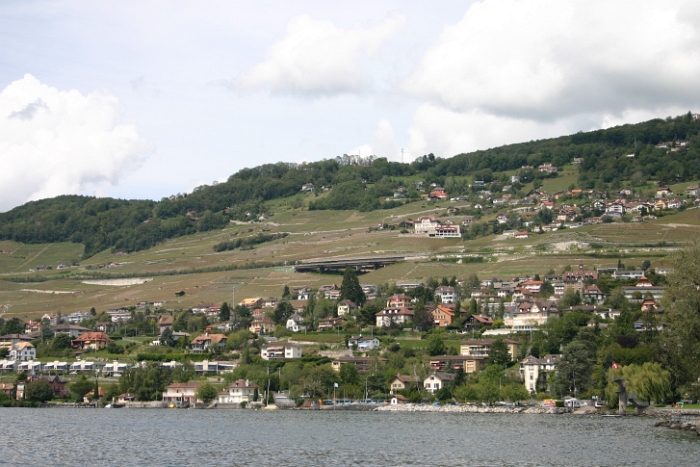 Vignes grelees Lavaux - 097